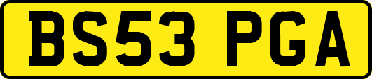 BS53PGA