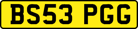 BS53PGG