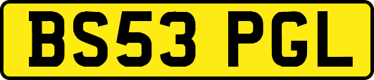 BS53PGL