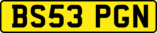 BS53PGN