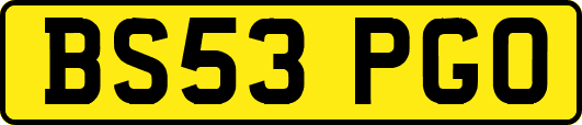 BS53PGO