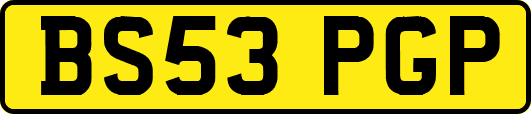 BS53PGP