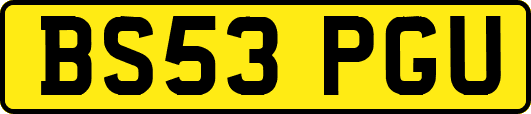 BS53PGU