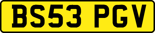 BS53PGV