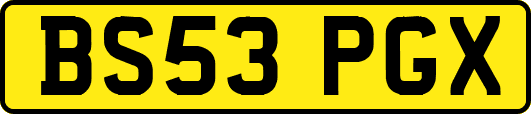 BS53PGX