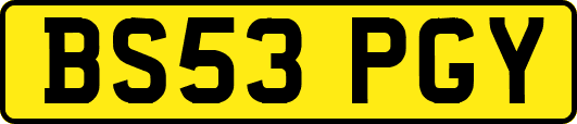 BS53PGY