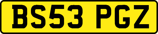 BS53PGZ