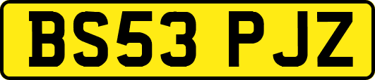 BS53PJZ