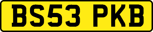 BS53PKB