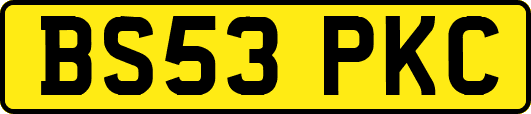 BS53PKC