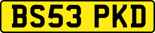 BS53PKD