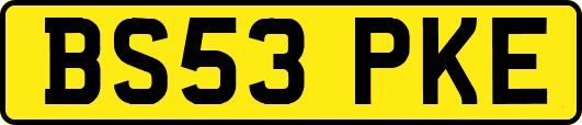 BS53PKE