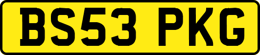BS53PKG