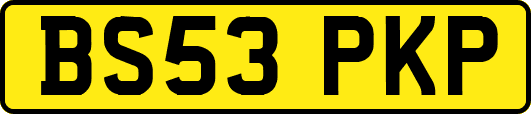 BS53PKP