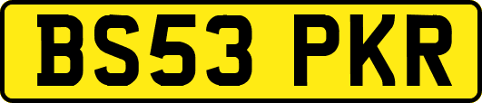 BS53PKR