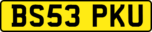 BS53PKU