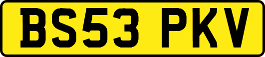 BS53PKV