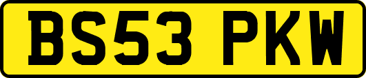 BS53PKW