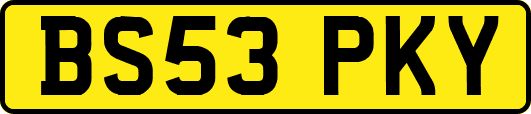 BS53PKY