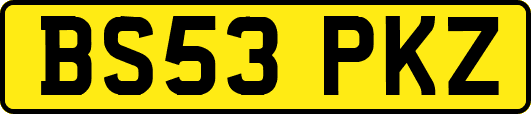 BS53PKZ
