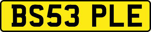 BS53PLE