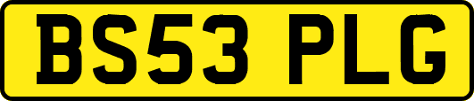 BS53PLG