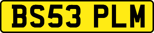 BS53PLM