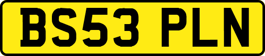 BS53PLN