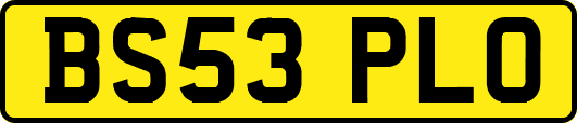 BS53PLO