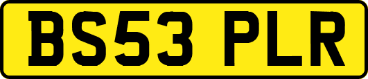 BS53PLR