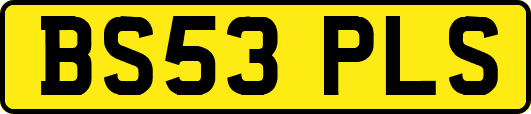 BS53PLS