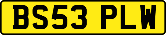 BS53PLW
