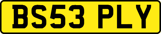 BS53PLY
