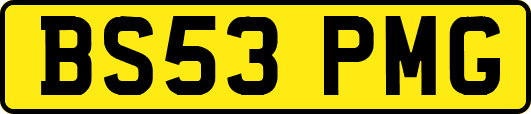 BS53PMG