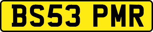 BS53PMR