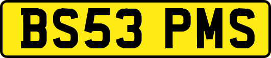 BS53PMS