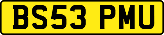 BS53PMU