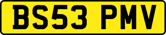 BS53PMV