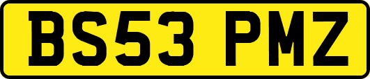 BS53PMZ