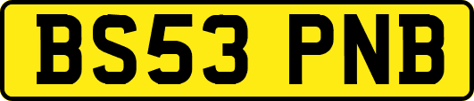 BS53PNB
