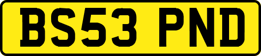 BS53PND