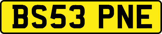 BS53PNE