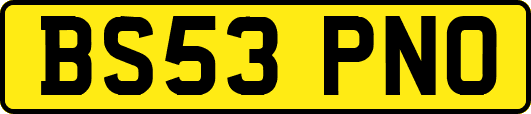 BS53PNO