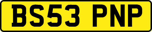BS53PNP