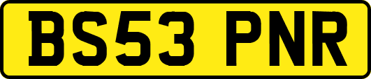 BS53PNR