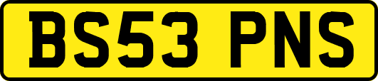 BS53PNS