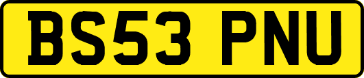 BS53PNU