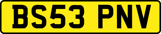 BS53PNV