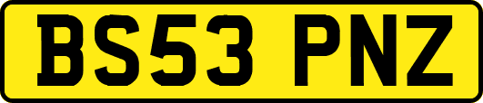 BS53PNZ