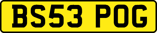 BS53POG